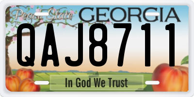 GA license plate QAJ8711