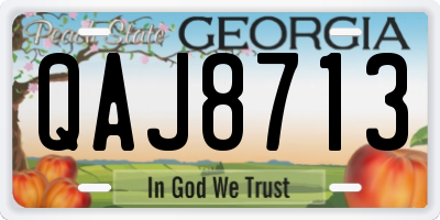 GA license plate QAJ8713