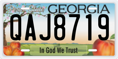 GA license plate QAJ8719