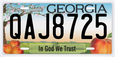 GA license plate QAJ8725
