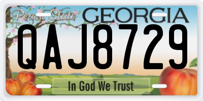 GA license plate QAJ8729
