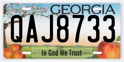 GA license plate QAJ8733