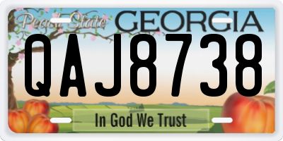 GA license plate QAJ8738