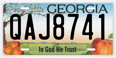 GA license plate QAJ8741