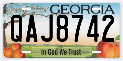 GA license plate QAJ8742