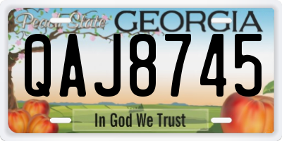 GA license plate QAJ8745