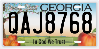 GA license plate QAJ8768