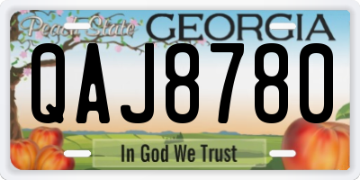 GA license plate QAJ8780