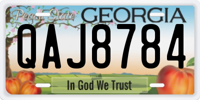 GA license plate QAJ8784