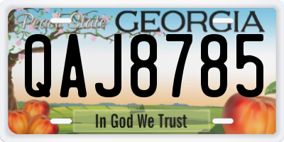 GA license plate QAJ8785