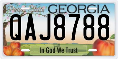 GA license plate QAJ8788
