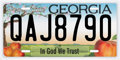 GA license plate QAJ8790