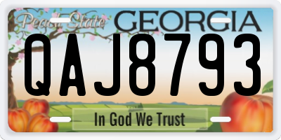 GA license plate QAJ8793