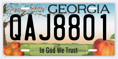 GA license plate QAJ8801
