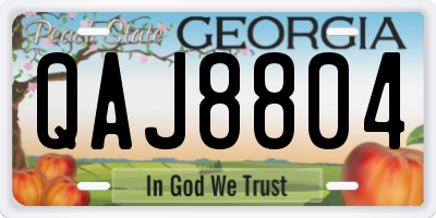 GA license plate QAJ8804