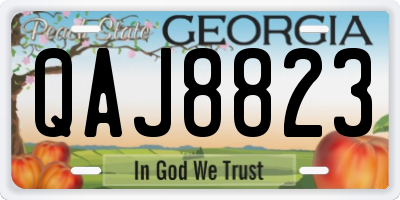 GA license plate QAJ8823