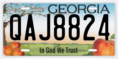 GA license plate QAJ8824