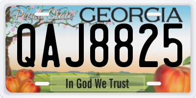GA license plate QAJ8825