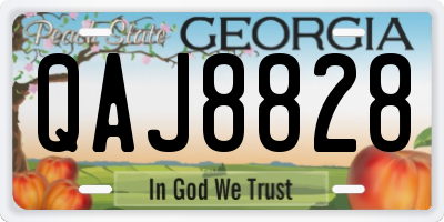 GA license plate QAJ8828