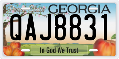 GA license plate QAJ8831