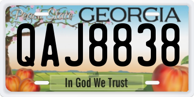 GA license plate QAJ8838