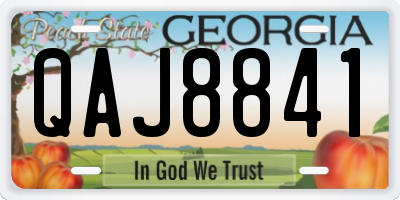 GA license plate QAJ8841