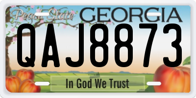 GA license plate QAJ8873