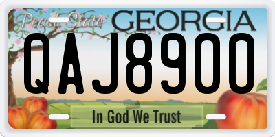 GA license plate QAJ8900