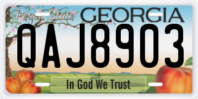 GA license plate QAJ8903