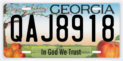 GA license plate QAJ8918