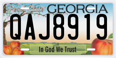 GA license plate QAJ8919