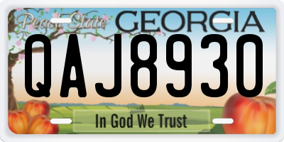 GA license plate QAJ8930