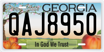 GA license plate QAJ8950