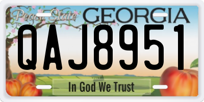 GA license plate QAJ8951