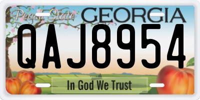 GA license plate QAJ8954