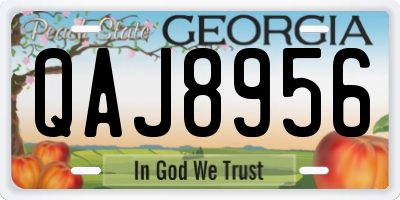 GA license plate QAJ8956