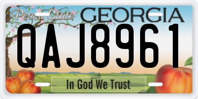 GA license plate QAJ8961
