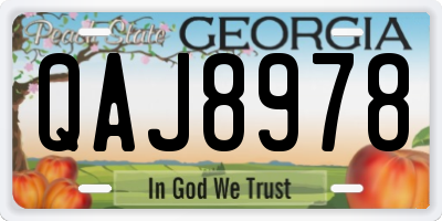 GA license plate QAJ8978
