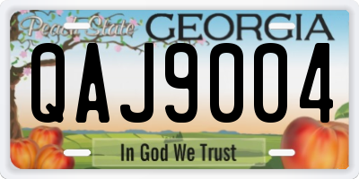 GA license plate QAJ9004