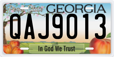 GA license plate QAJ9013