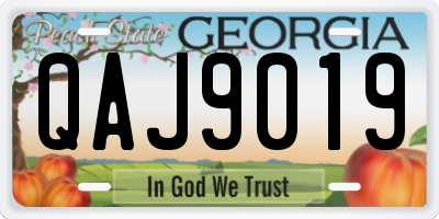 GA license plate QAJ9019