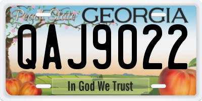 GA license plate QAJ9022