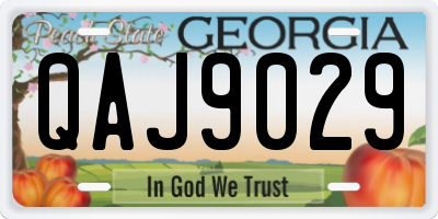 GA license plate QAJ9029