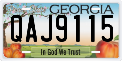 GA license plate QAJ9115
