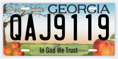GA license plate QAJ9119