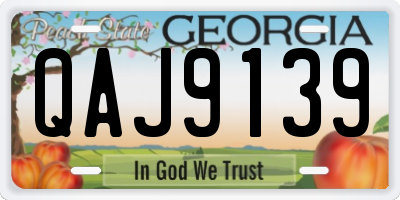 GA license plate QAJ9139
