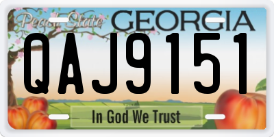 GA license plate QAJ9151