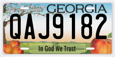 GA license plate QAJ9182