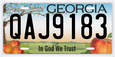 GA license plate QAJ9183