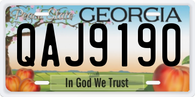 GA license plate QAJ9190